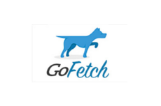 GoFetch Salesforce Browser Extension