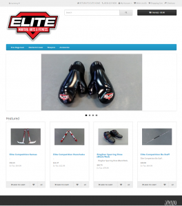 Martial Arts Website Creation Image